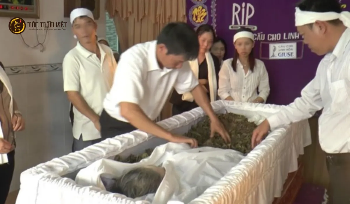 Tại sao cần Vệ Sinh Thi Hài Bằng Thảo Dược ?